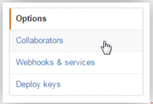 Githubアクセス権追加でCollaboratorsを選択する画面